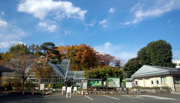 その他　東京都薬用植物園（その他）まで381m