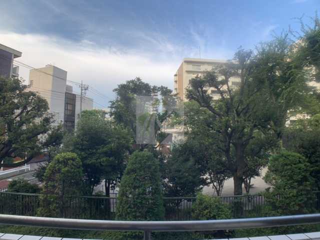 眺望　ザ タバタ ハウス