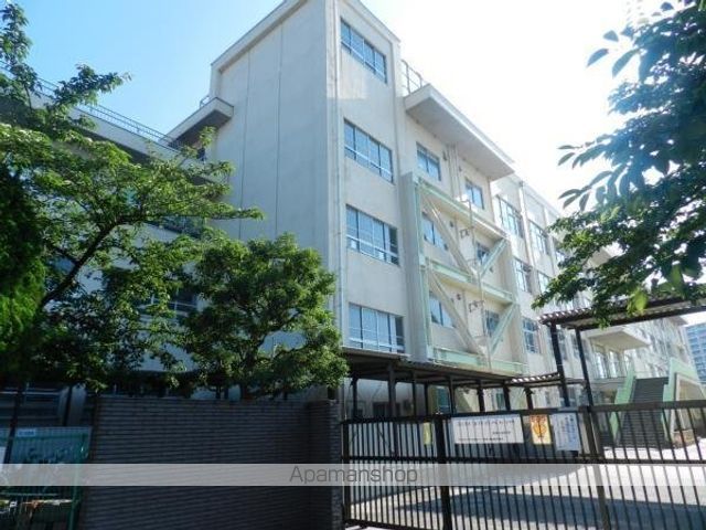 小学校　新井小学校（小学校）まで692m