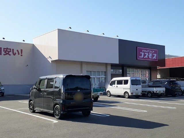 その他　コスモス（その他）まで1700m