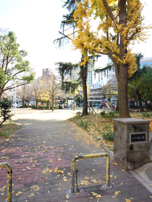 公園　江戸堀公園（公園）まで600m