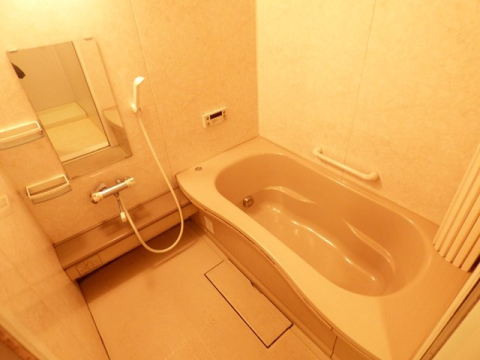 バス・シャワールーム　※写真は他号室です