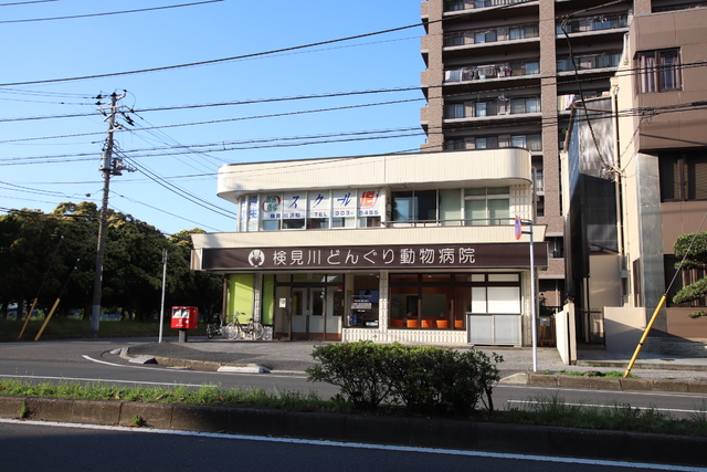 その他　検見川どんぐり動物病院（その他）まで1100m