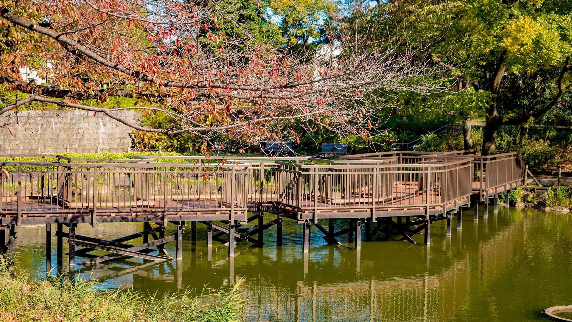 公園　文庫の森（公園）まで181m