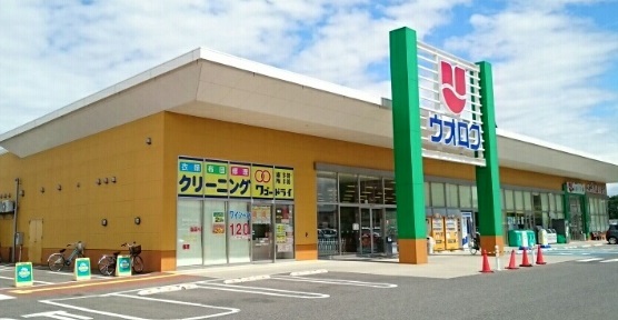 スーパー　ウオロク鳥屋野南店（スーパー）まで750m