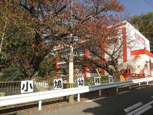 幼稚園・保育園　小鳩幼稚園（幼稚園・保育園）まで320m