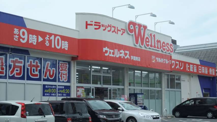 ドラックストア　ウェルネス学園南店（ドラッグストア）まで525m