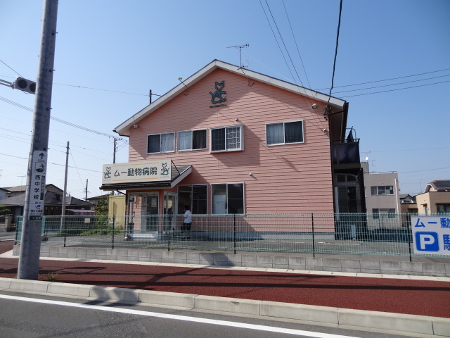 病院　ムー動物病院（病院）まで200m