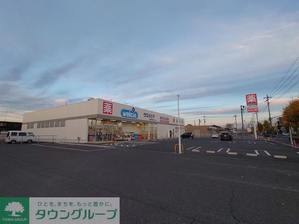 ドラックストア　ウエルシア太田南矢島店（ドラッグストア）まで1080m