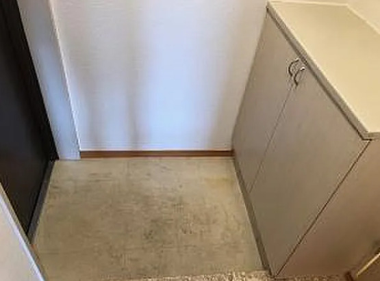 玄関　写真は同タイプ住居です。