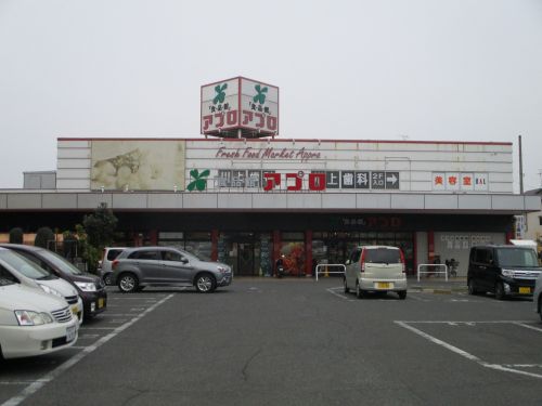 スーパー　食品館アプロ 堺水池店（スーパー）まで1022m