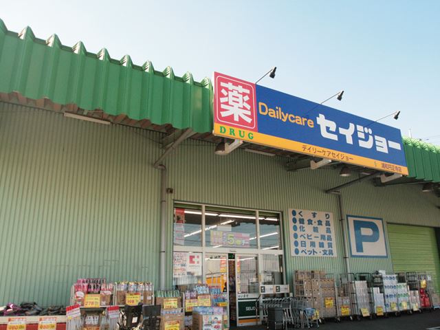 ドラックストア　デイリーケアセイジョー浦和円正寺店（ドラッグストア）まで419m