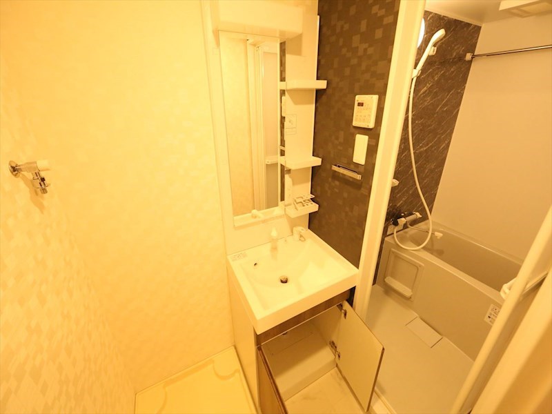 洗面設備　脱衣所　独立洗面台（シャンプードレッサー付）収納スペース有