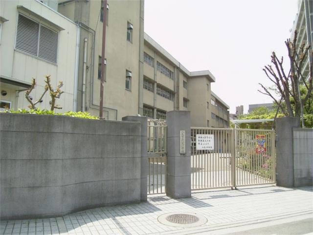 小学校　八尾市立八尾小学校（小学校）まで953m