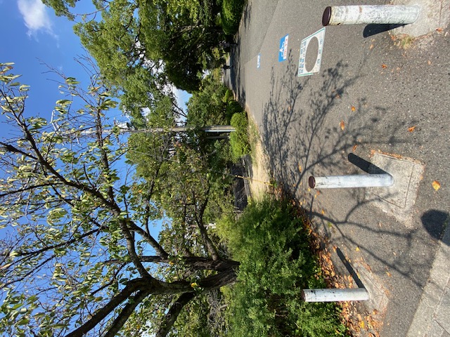 公園　夙川河川敷緑地（公園）まで687m