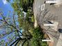 公園　夙川河川敷緑地（公園）まで687m