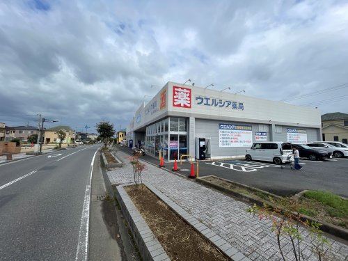 ドラックストア　ウエルシア柏しいの木台店（ドラッグストア）まで1800m