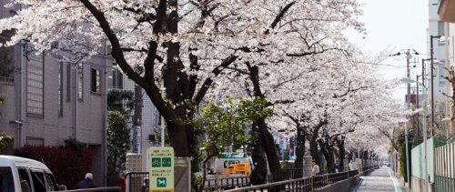 その他　立会川緑道（その他）まで218m