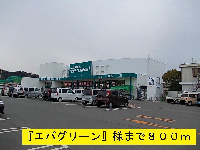 ドラックストア　エバグリーン（ドラッグストア）まで800m