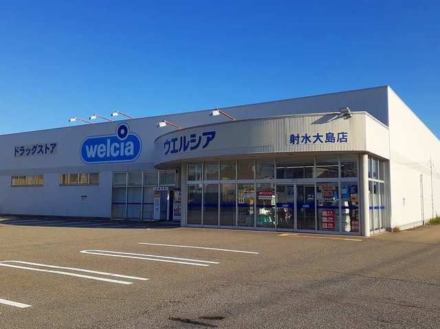 ドラックストア　ウエルシア（ドラッグストア）まで300m