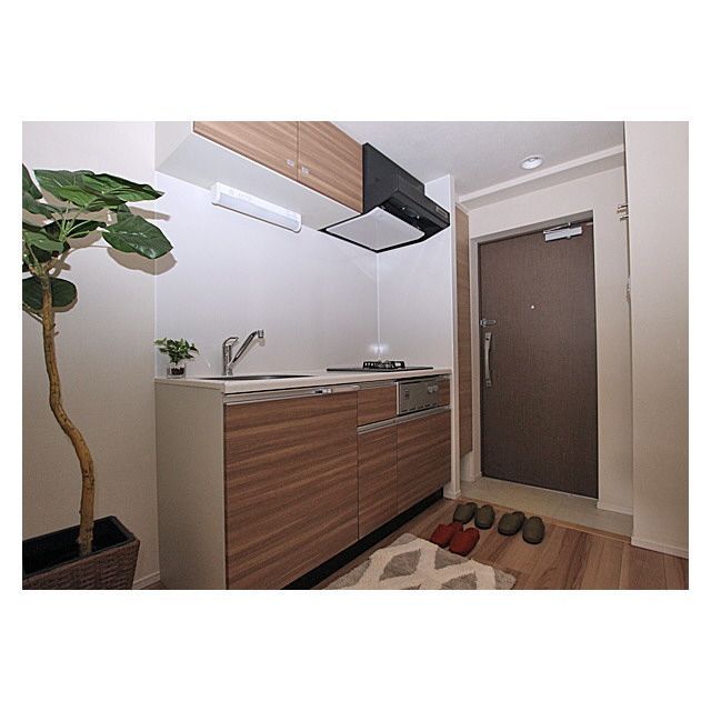 玄関　☆玄関スペース☆ ※家具小物等は付きません