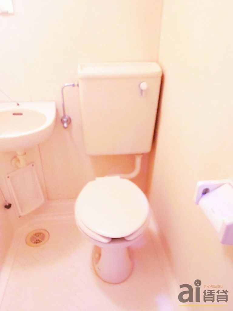 トイレ　～同仕様写真～