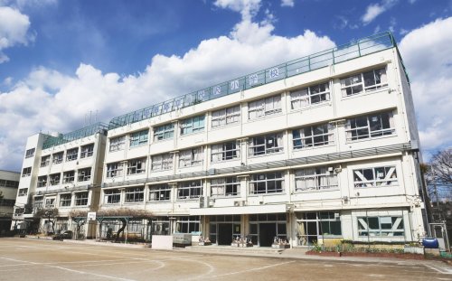 小学校　世田谷区立代沢小学校（小学校）まで497m