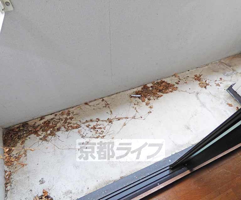 バルコニー　バルコニーです。