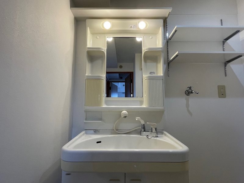 洗面設備　※他号室イメージ