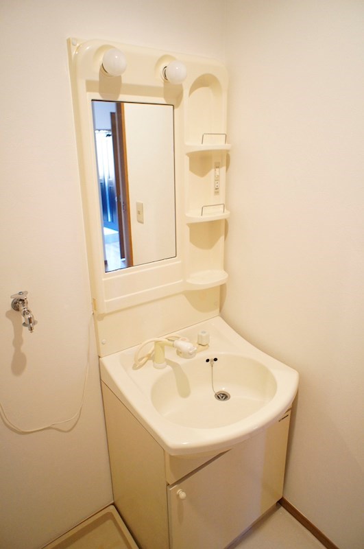 洗面設備　忙しい朝にも嬉しいシャワードレッサー