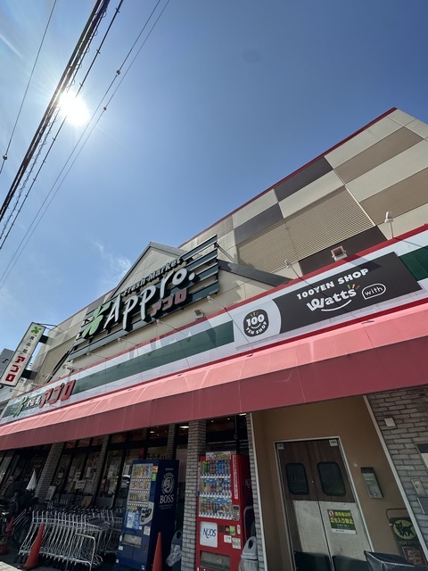 スーパー　食品館アプロたつみ店　街の味方（スーパー）まで743m