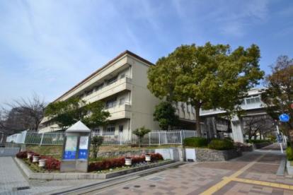 小学校　神戸市立湊小学校（小学校）まで984m