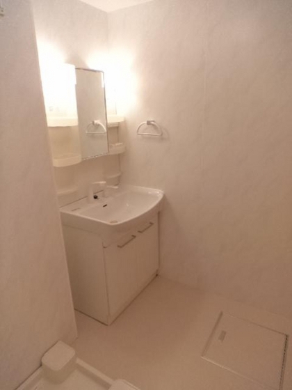 洗面設備　※他号室の写真です