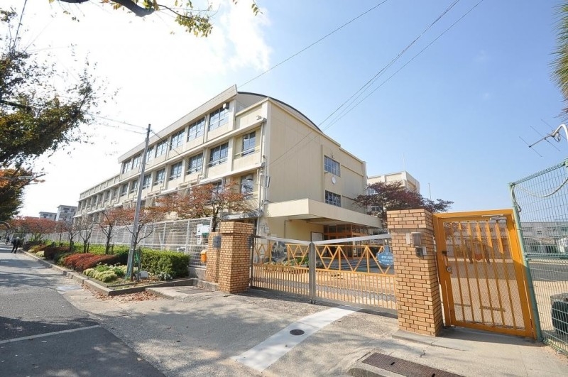 小学校　神戸市立神陵台小学校（小学校）まで817m