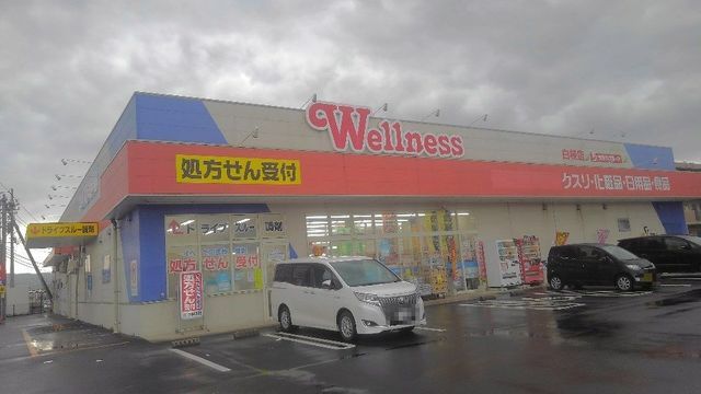 ドラックストア　ウェルネス白枝店（ドラッグストア）まで1400m
