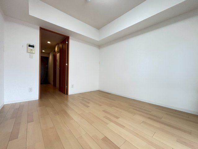 居室・リビング　詳細は、RISUMO江坂本店までお問合せください♪