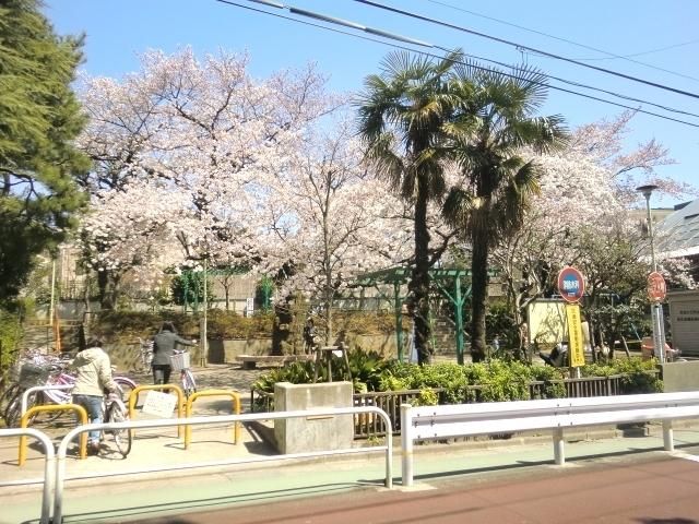 公園　自由が丘公園（公園）まで410m