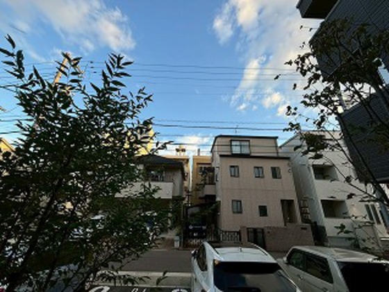 眺望　※別部屋の写真です