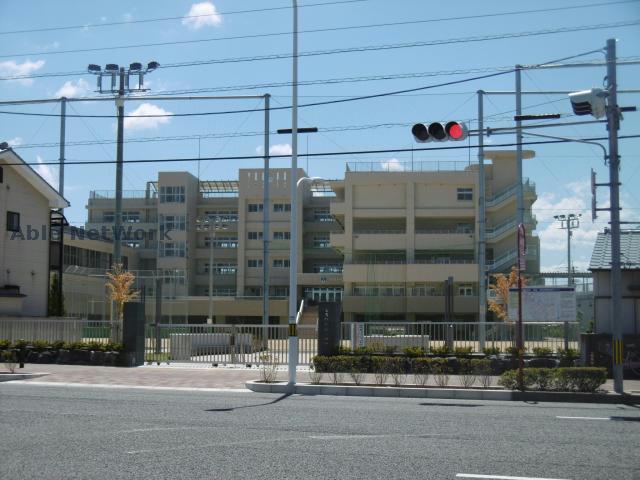 小学校　徳島市立沖洲小学校（小学校）まで495m