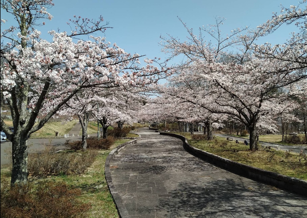 公園　信夫山公園（公園）まで2000m
