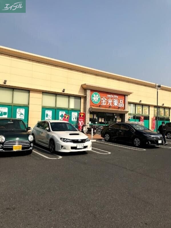 ドラックストア　金光薬品当新田店（ドラッグストア）まで604m