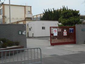 小学校　桂川小学校（小学校）まで217m