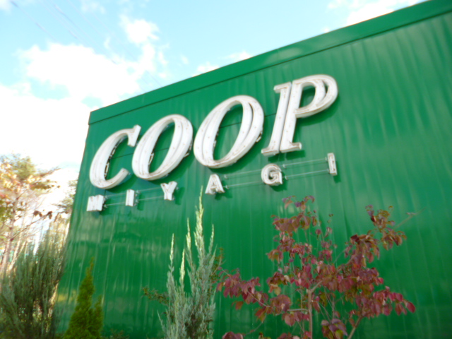 スーパー　COOP　MIYAGI南小泉店（スーパー）まで1124m