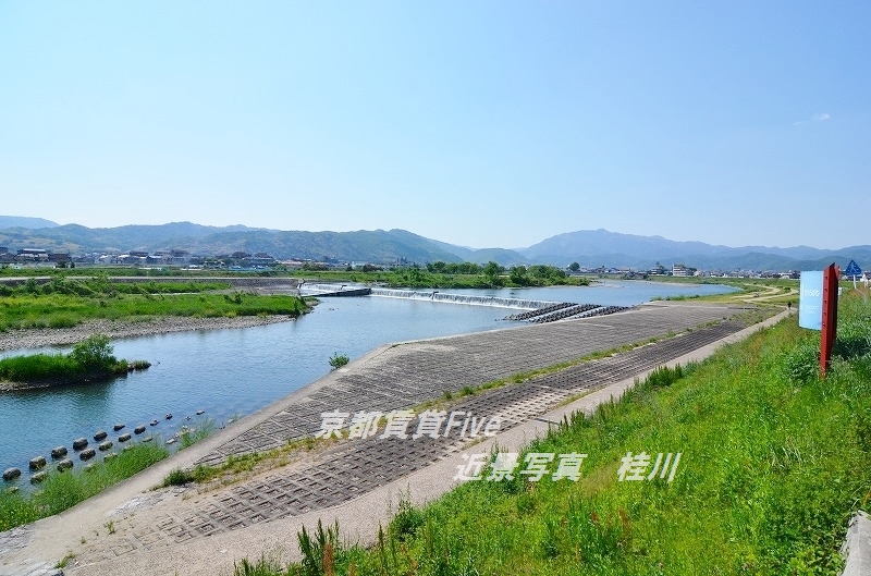 その他　桂川（その他）まで1900m