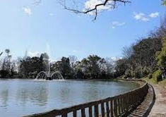 公園　呼続公園（公園）まで416m