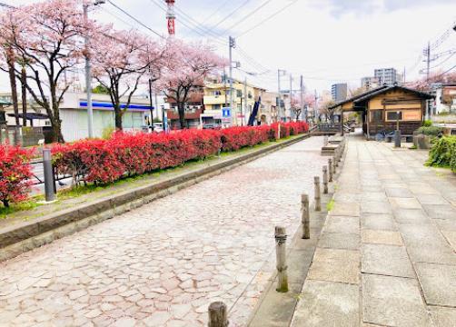 幼稚園・保育園　まなびの森保育園・亀有（幼稚園・保育園）まで260m