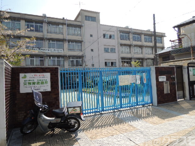 小学校　大阪市立大隅東小学校（小学校）まで260m