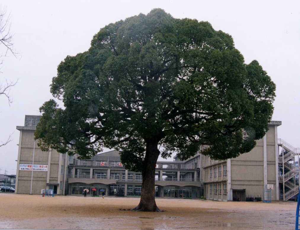小学校　氷丘小学校（小学校）まで675m