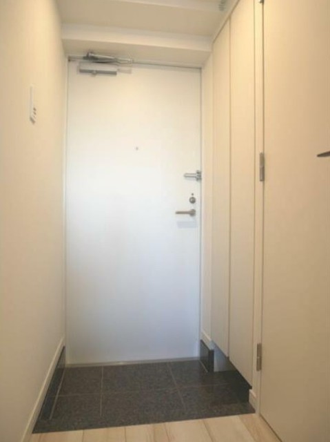 玄関　同仕様タイプ