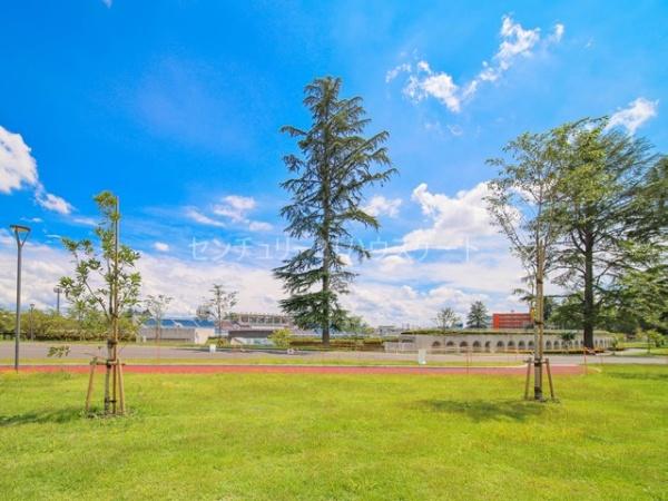 公園　栃木県総合運動公園（公園）まで1332m